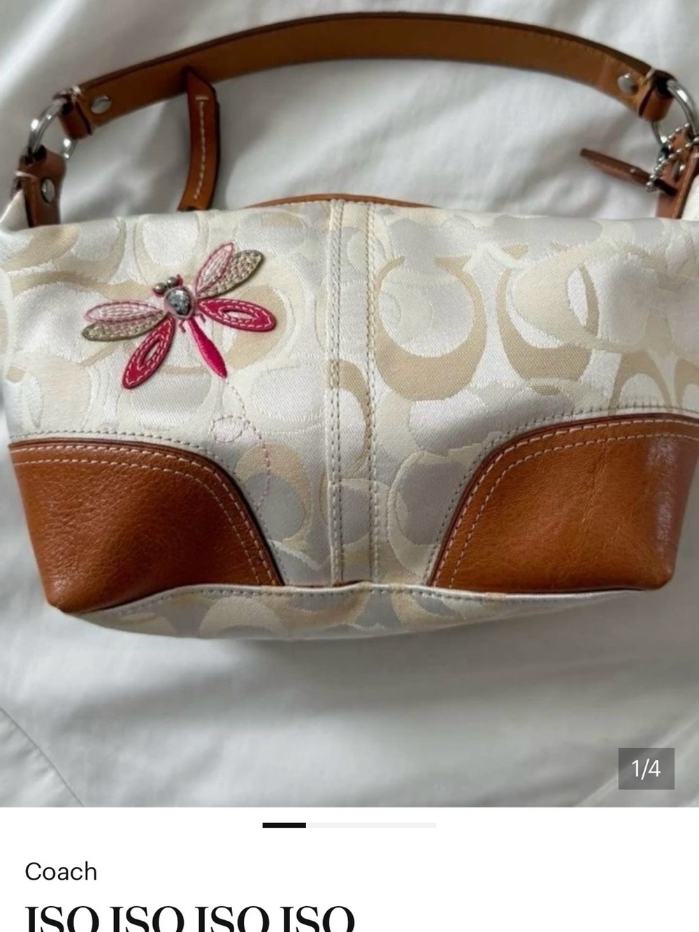 IN SEARCH OF THIS BAGG